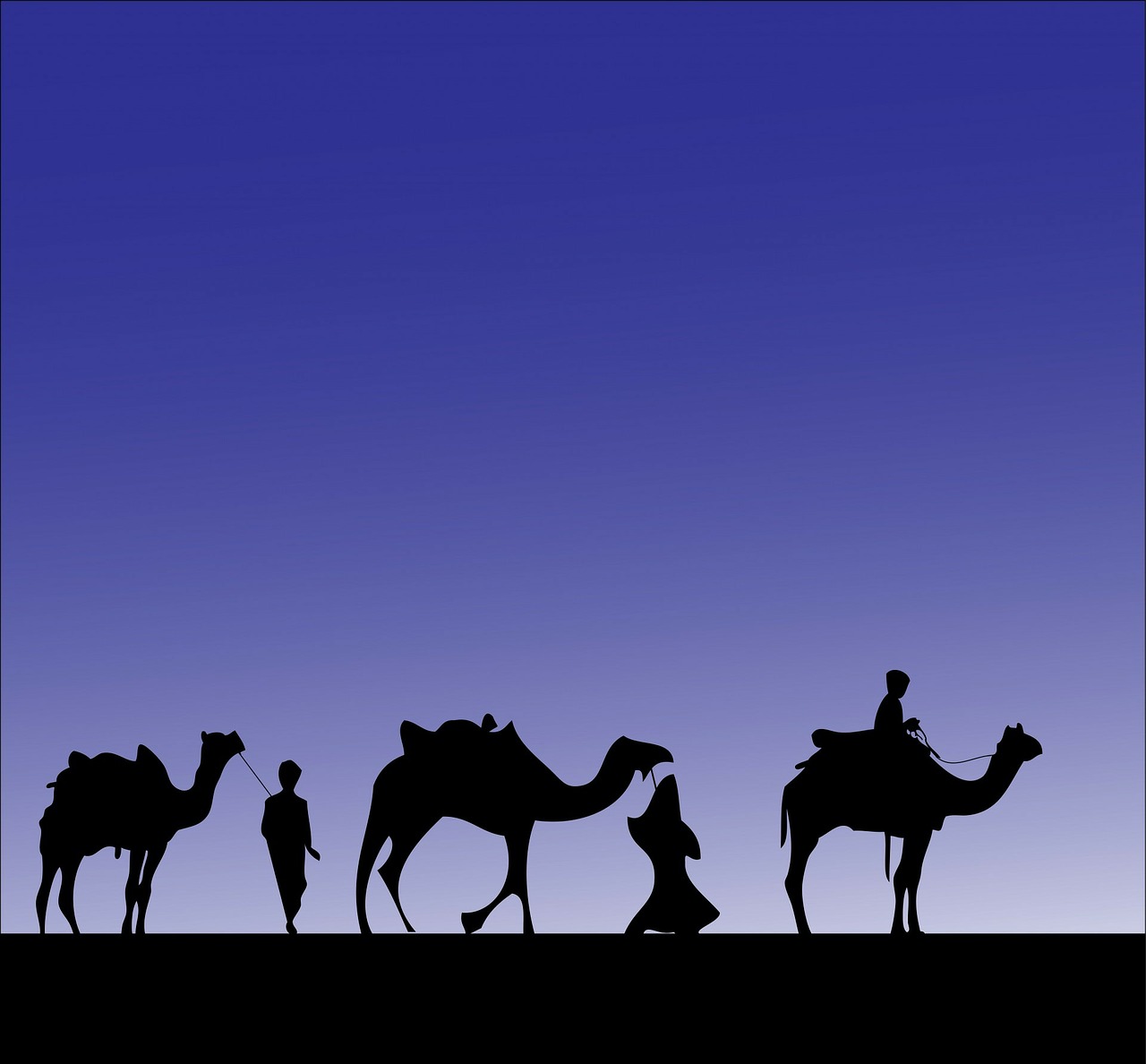 camel, camels, wise men-316894.jpg